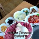 용전식육식당