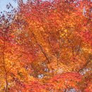 포천청