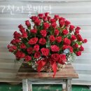 ００７천사꽃배달