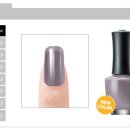 퍼플그레이 (Purple Gray) 이미지