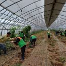 박정현농장 이미지