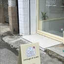 코티지 오브 퍼피(cottage of puppy) | 청주 포메 미용 잘하는 곳 / ‘코티지오브퍼피‘ / 개도 주인도 만족도 10000%