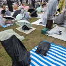 진격의오븐치킨 | 2025 부산국제락페스티벌 후기 (2) +a