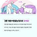 최신농장 | 강릉 쌍둥이동물농장 동물 종류와 체험 시간 안내