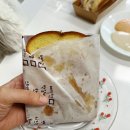 토스테리아 이미지