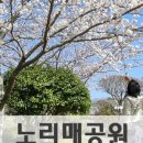 예래동-3 이미지