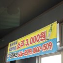 동해 | [이천 맛집] 마장면 중국집 동해반점 후기(평일 점심 내돈내산)