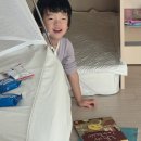 음악으로배우는영어 | 영유아영어 고민 끝에 선택한 잉글리시에그, 연년생 3개월 활용 후기