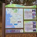 서천 국립 희리산 자연휴양림(충남 서천군 종천면 희리산길 206, 종천면 산천리 산 35-1)