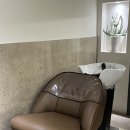 살롱드송송 | [후기] 수내역미용실 살롱드쁘와: 윤기 좔좔 감자 되기