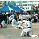 경희TSJ 태권스쿨 이미지