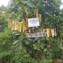 수양산 펜션 티스토리