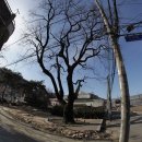 석전동290 이미지