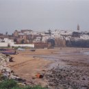 ji(나만의) 이미지