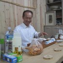 보화다원 이미지