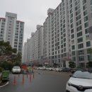 유림-1145 이미지