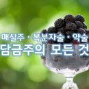 매실주ㆍ복분자술ㆍ약술 ‘담금주‘의 모든것 이미지