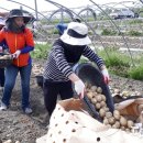 기술보급과 이미지