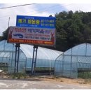 청운면메기마을