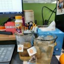 [EVENT후기] 사무실로 샘표 순작 한잔 보리차가 왔다.^^