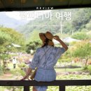 ㈜이일팜 | 팜파티아 여행 보성 유기농 미식주투어 -남도바닷길 미식투어