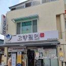 경주 맛집 :: 고향밀면 본점 토요일 웨이팅 후기