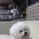 리사앤루이 이미지