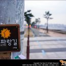 2016년 7월 16일토)~17일(일)[해파랑길 이어걷기 9차]부산에서 고성까지 770km/17코스~18코스(송도해변~칠포해변~화진해변) 이미지