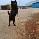 창수농장 이미지