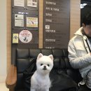 윌동물외상센터 이미지