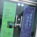 모긴미술관 이미지