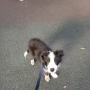 (주)스타몽 이미지