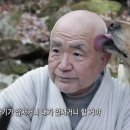 아일랜드비