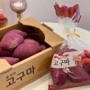 구황작물 이미지