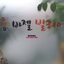 바젤빌리어드 이미지