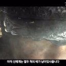 교평 이미지
