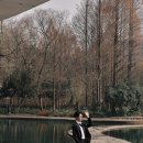 디디 - 횡성군 | 디디