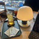 일과사람 | [일상] 4월 기록 - 꽃과 일과 사람과 술