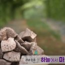 하늘건강식품