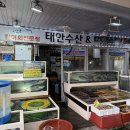 태안수산 | [충남 태안] 태안서부시장회포장 제철해산물 전문점 태안수산 솔직후기