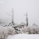 덕유산주유소 이미지