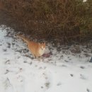 (주)공감 이미지