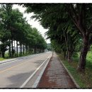 제천족구장 족구장 이미지