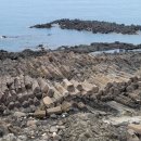 양남주상절리 이미지