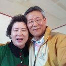 용전농장 네이버블로그