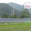 파워쏠라태양광발전소 이미지