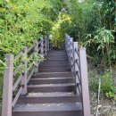 정남진테마숲 이미지