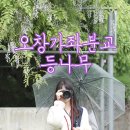 오창초 가좌분교 | 5월여행지💜오창초등학교 가좌분교(폐교) 등나무꽃 &amp;아카시아꽃