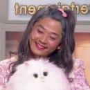 만배성 이미지