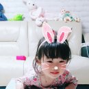 쥬쥬하우스